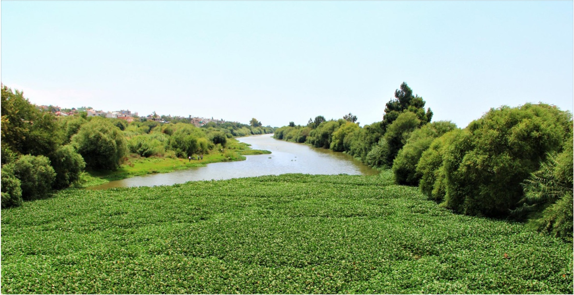 River cleaned picture
